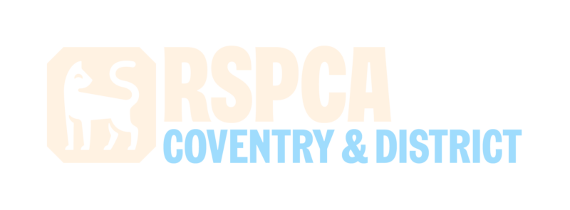 Charity Image