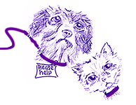 Charity Image